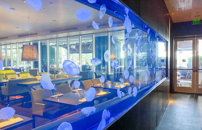 W Residences Luxury Suites Across from Fort Lauderdale Beach - Foto 49
