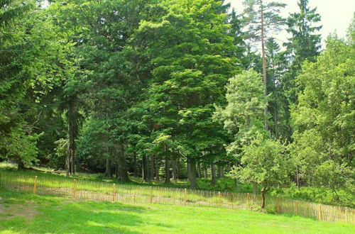 Photo 15 - Particularly Beautiful, Renovated House With Stunning Views on the Edge of the Bohemian Forest