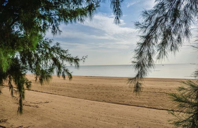 Sandy Beach Condo 17D - Foto 40