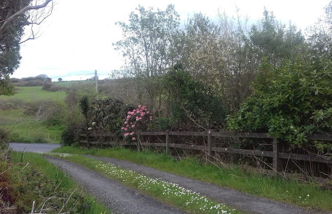 Delightful Bungalow Near Skibbereen & Baltimore - Foto 30