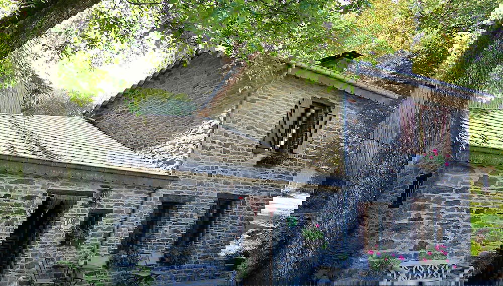 Primary image