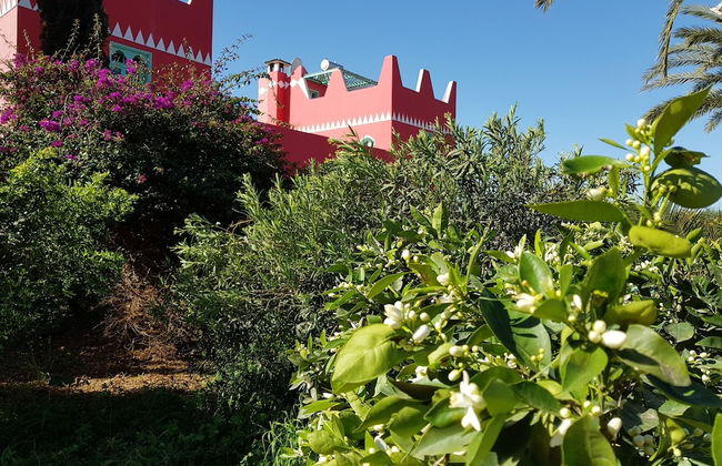 Le Jardin aux Etoiles - Foto 44