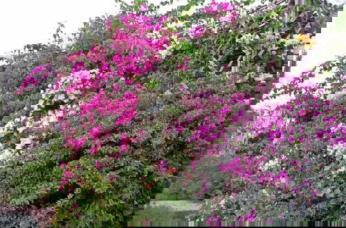 Foto 41 - Le Jardin aux Etoiles