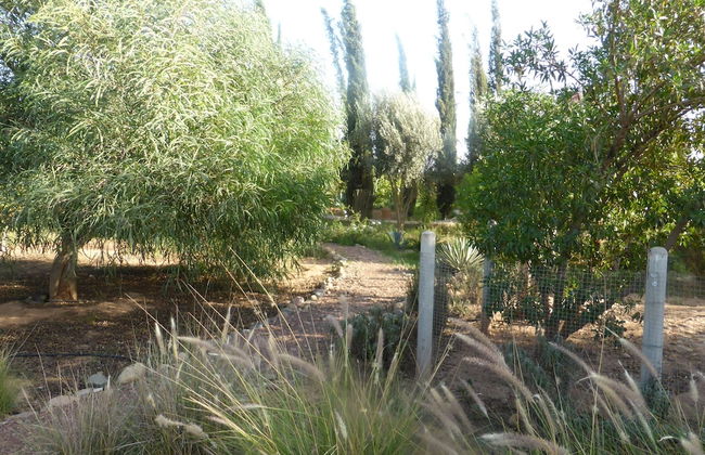 Le Jardin aux Etoiles - Foto 45