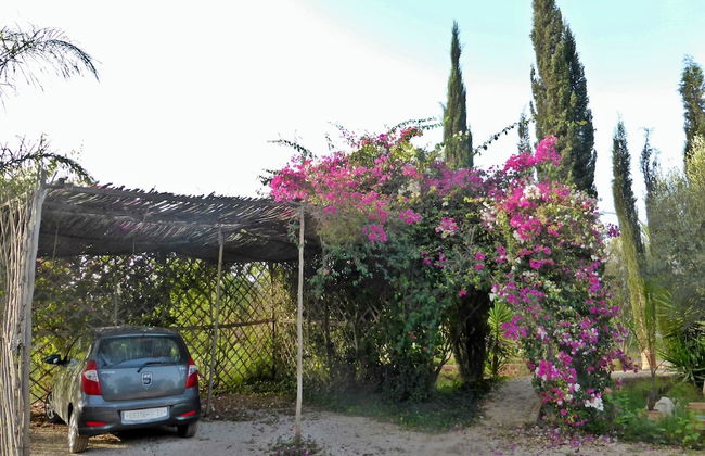 Le Jardin aux Etoiles - Foto 47