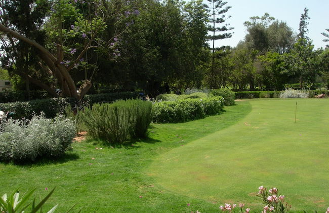Le Jardin aux Etoiles - Foto 77
