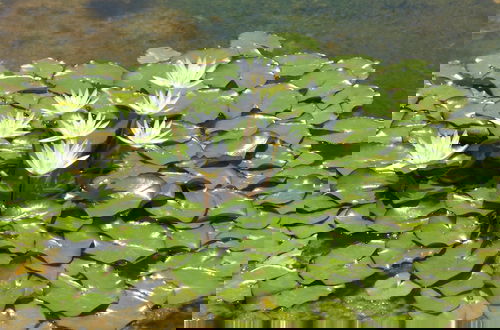 Foto 63 - Le Jardin aux Etoiles