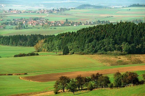 Photo 29 - Apartment in Bad Durrheim Near Lake Constance, Black Forest