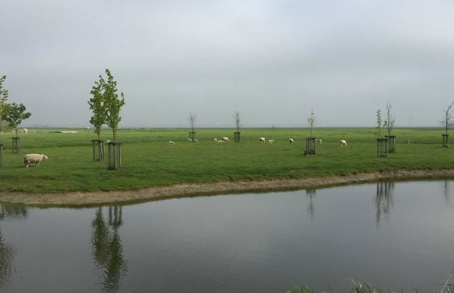Rijnhoeve - Foto 28