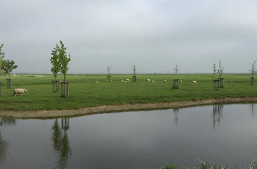 Photo 31 - Rijnhoeve