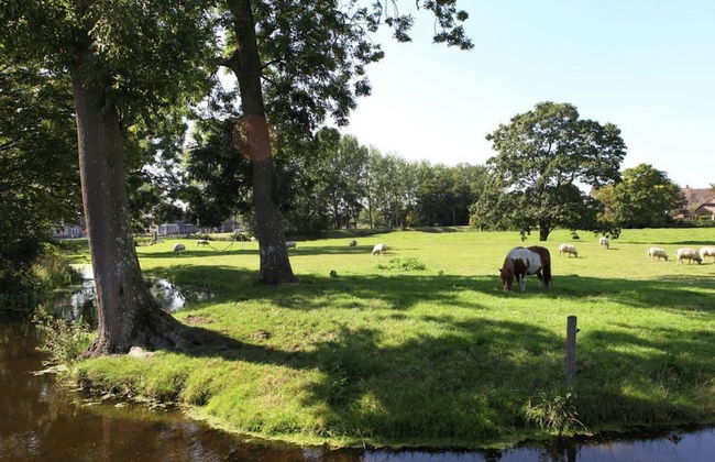 Rijnhoeve - Foto 34