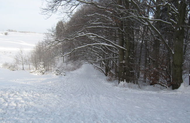 Familienferienhaus in Huttenrode - Foto 26