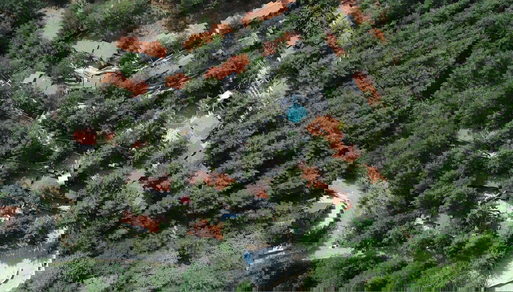 Image principale