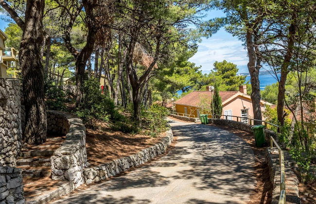 Zelena Punta - Photo 44