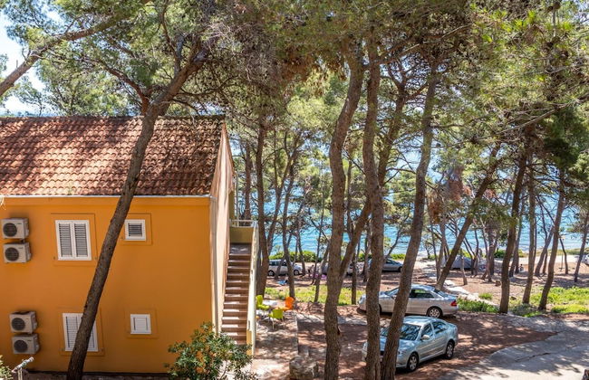 Zelena Punta - Photo 55
