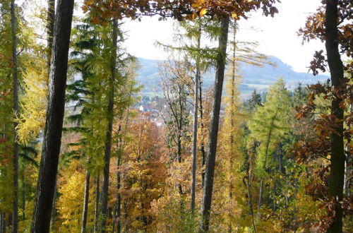 Photo 16 - Natural log Cabin in Waltershausen