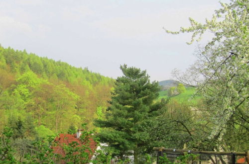 Photo 22 - Holiday Home with Garden & Terrace near Rennsteig in Thuringian Forest