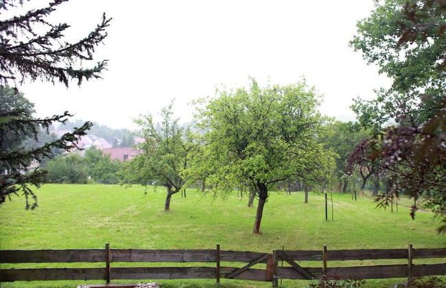 Meadow View Cottage in Winterstein Thuringia near Ski Area - Foto 31