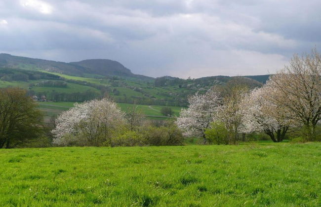 Natur-blockhaus in Waltershausen - Foto 36