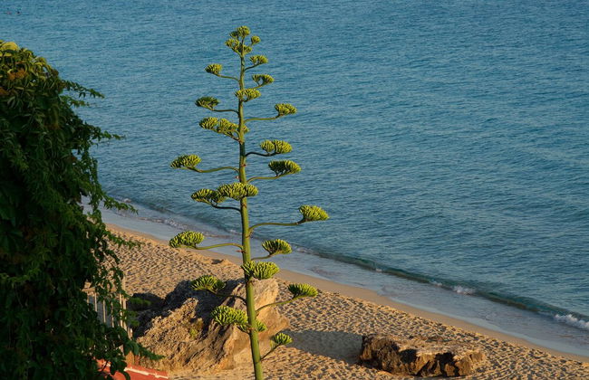 Infinity Beach House - Foto 38