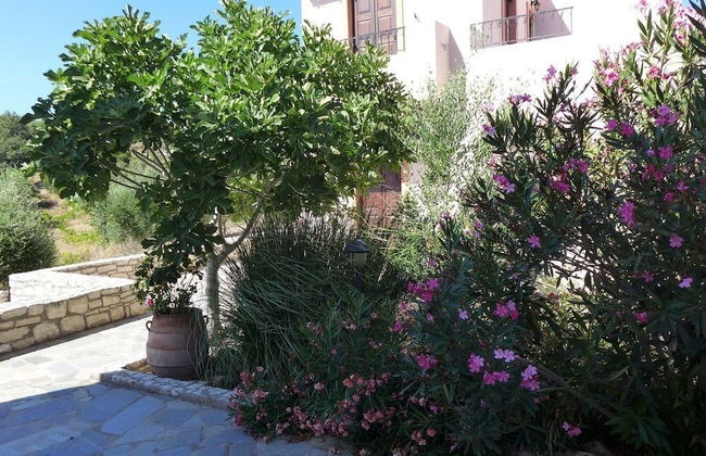 Oros Villas - Foto 9