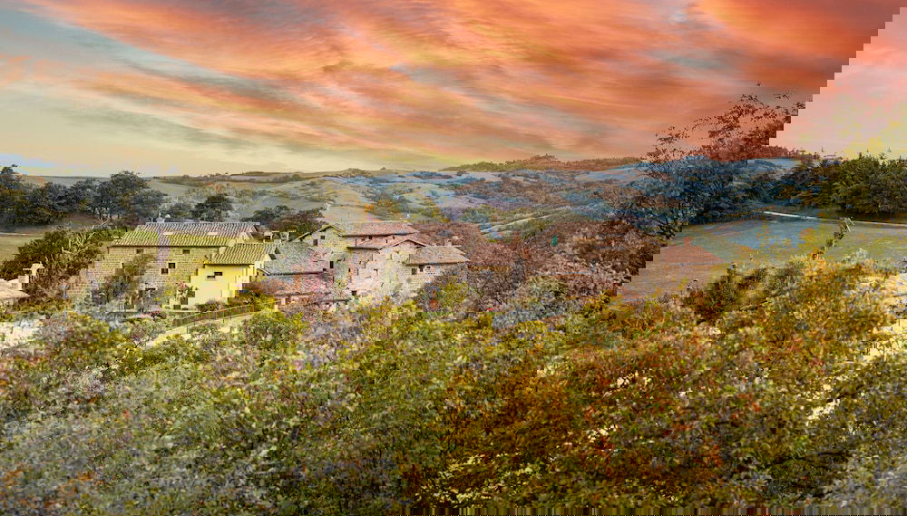 Imagem principal