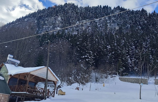 Villa Devor - Photo 52