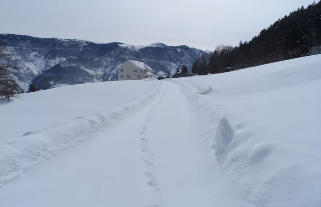 Villa Devor - Photo 33