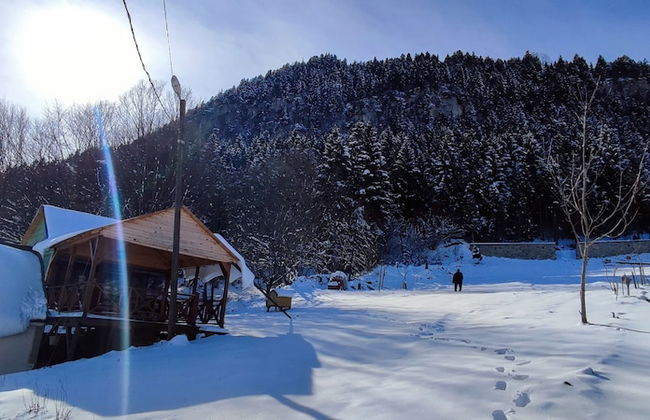 Villa Devor - Photo 50