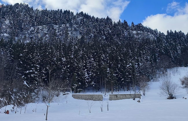 Villa Devor - Photo 53