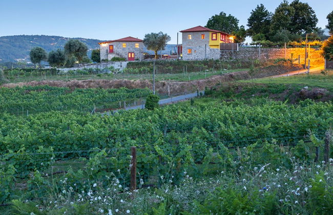 Quinta do Olival - Foto 47