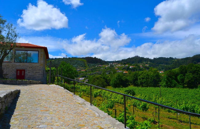 Quinta do Olival - Foto 61