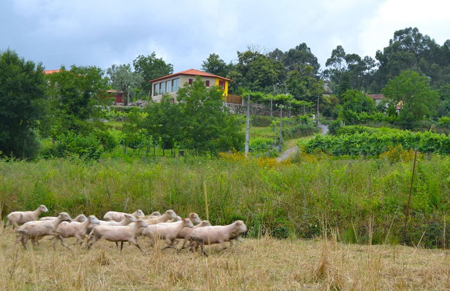 Quinta do Olival - Foto 62