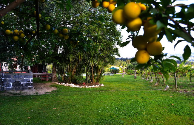 Quinta do Olival - Foto 46