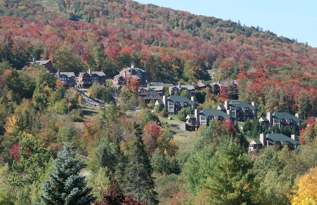 Townhomes at Bretton Woods - Foto 39