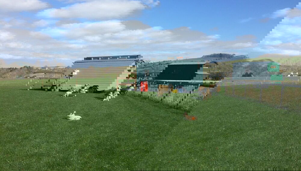 Primary image