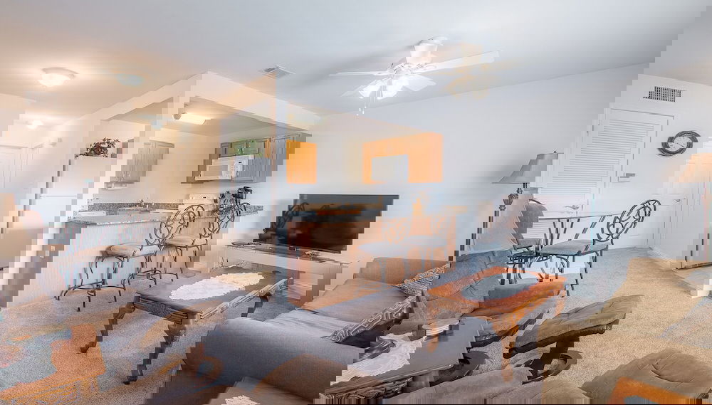 Imagem principal