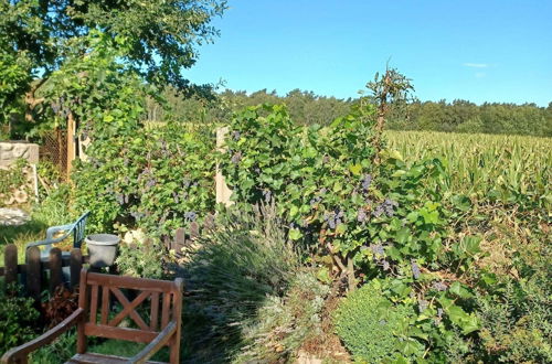 Photo 20 - Cozy Bungalow in Nakenstorf With Garden