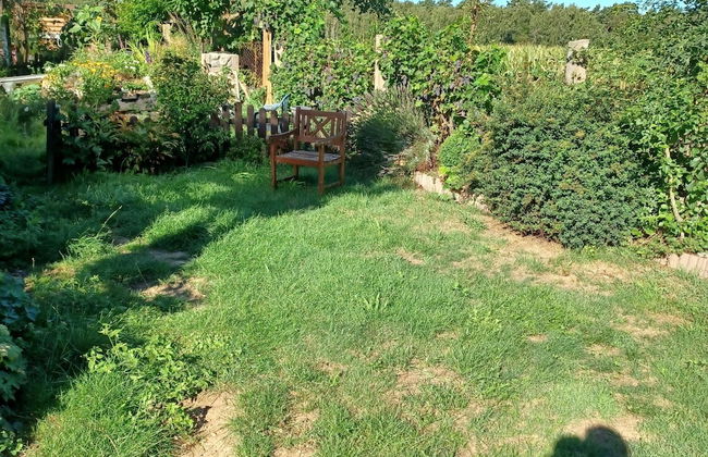 Gemuetlicher Bungalow mit Garten UND Whirlpool in Nakenstorf - Foto 36