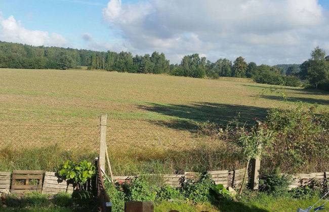 Gemuetlicher Bungalow mit Garten UND Whirlpool in Nakenstorf - Foto 50