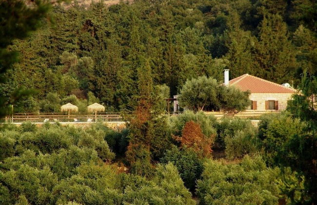 Boutique Villa Petra Eleni - Photo 36
