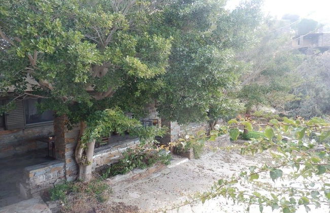 Elea Koundouros - Foto 30