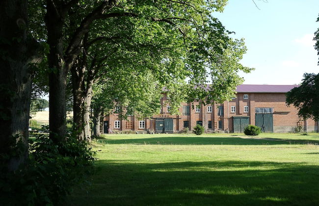 Gutshof Rothensande - Photo 38