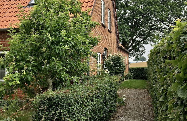 Gutshof Rothensande - Photo 52