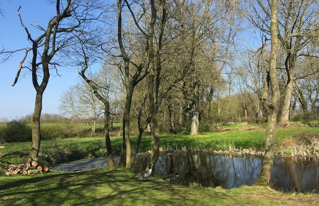 Gutshof Rothensande - Photo 45