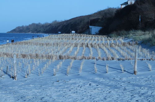 Photo 28 - Strandhaus an der Wohlenberger Wiek in Strandlage