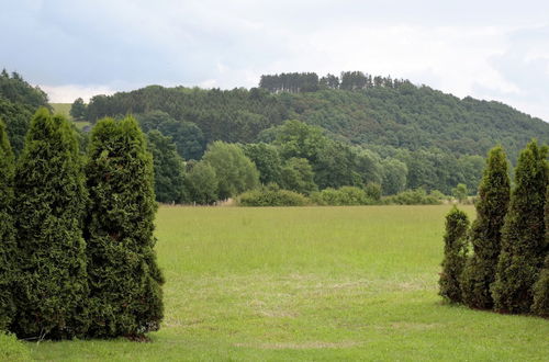 Photo 24 - Holiday Flat in the Sauerland With Terrace