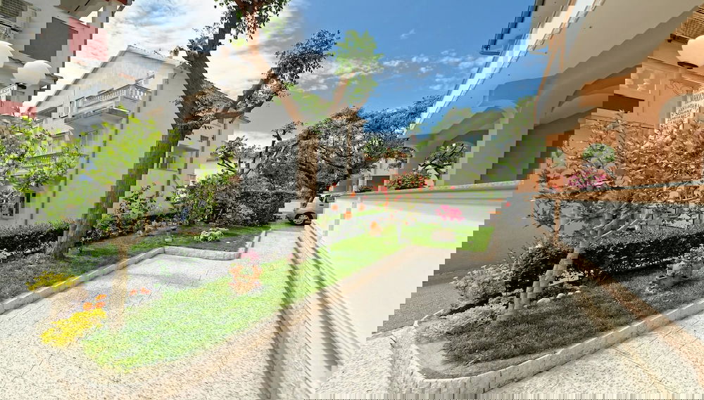 Imagem principal