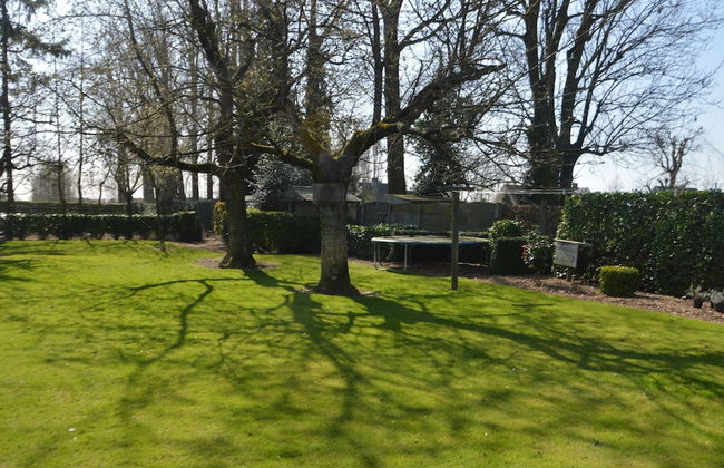 Family Home With Garden - Foto 18