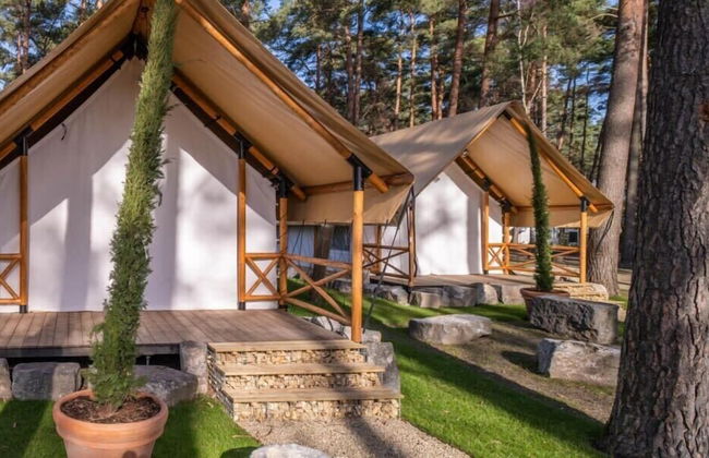 Europarcs Hoge Kempen - Foto 8